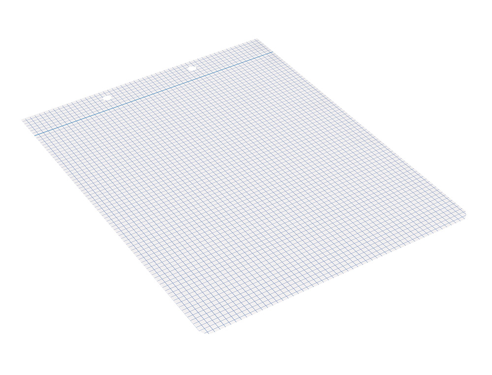 RECAMBIO LIDERPAPEL CUARTO APAISADO 100 HOJAS 60GR CUADRO 3 MM 2 TALADROS CON MARGEN