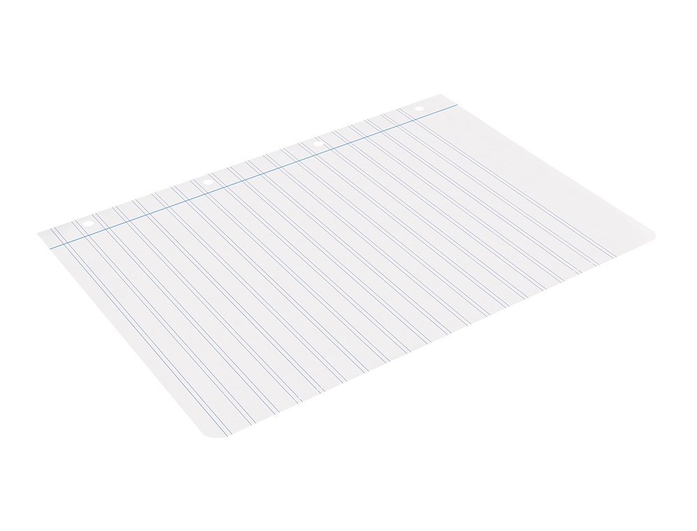 RECAMBIO LIDERPAPEL A4 100 HOJAS 100G/M2 PAUTA 5 2.5MM CON MARGEN 4 TALADROS