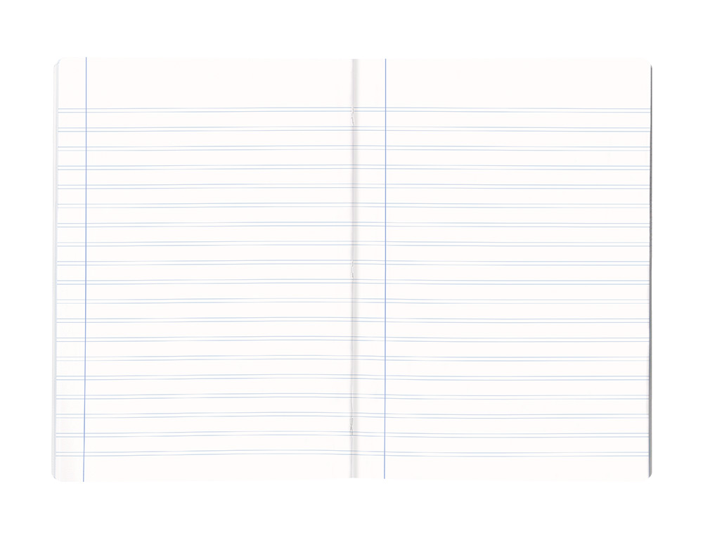 LIBRETA LIDERPAPEL SCRIPTUS A4 48 HOJAS 90GR PAUTA 5ª 2.5MM CON MARGEN
