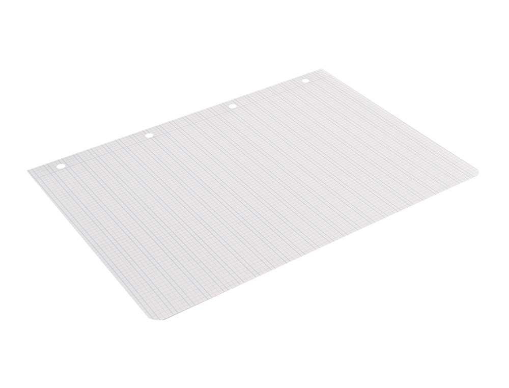 RECAMBIO LIDERPAPEL A4 PAUTAGUIA 100 HOJAS 75GR CUADRICULADO PAUTADO 2,5MM CON MARGEN 4 TALADROS