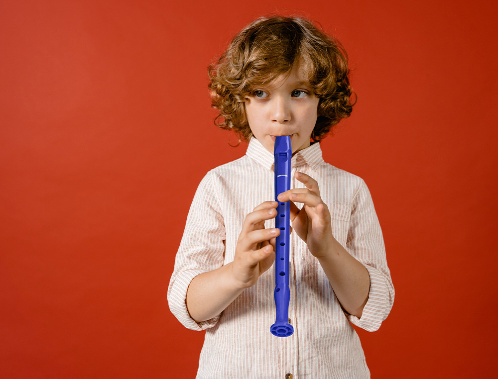 FLAUTA HOHNER 9508 COLOR AZUL FUNDA VERDE Y TRANSPARENTE