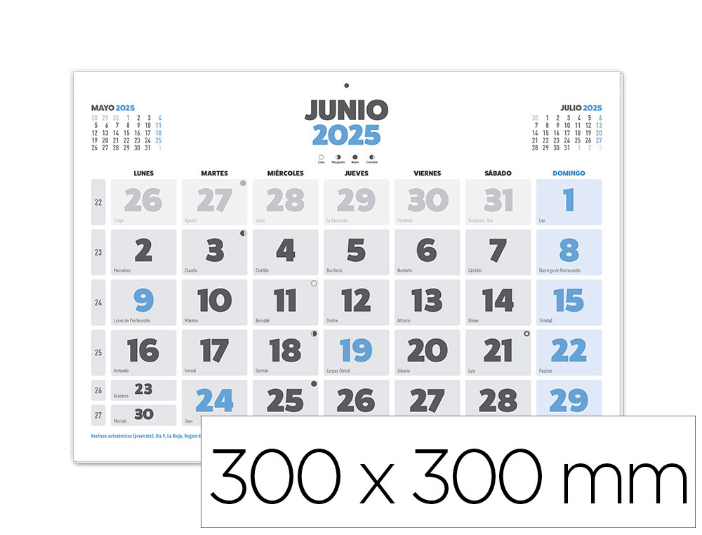 CALENDARIO PARED LIDERPAPEL CLASICO 2025 LOMO ENGOMADO 44X32 CM PAPEL 105 GR